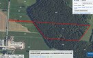 Las o powierzchni 5,23 ha – olcha, pow. żuromiński - 2