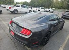 Ford Mustang GT Premium / 5.0 V8 / niski przebieg - 4