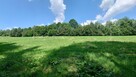Działka BUDOWLANA 30 ary Bieszczady, Bóbrka, k. SOLINA - 5