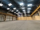 Lokal użytkowy Warszawa Bielany, Wólczyńska - 3