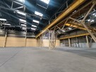 Lokal użytkowy Warszawa Bielany, Wólczyńska - 4