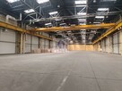 Lokal użytkowy Warszawa Bielany, Wólczyńska - 5