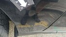 Ford Maverick Lariat / AWD / niski przebieg - 15