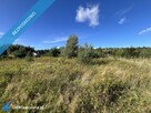 Działka z WZ przy lesie niedaleko Jastrzębiej Góry - 12