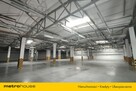 Hala 2409 m² - Produkcja i magazyny - 250 Kw - 3