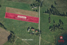 Działka rolna Podlaski gm. Sejny, - 4