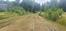 Nieruchomość - Zabrze