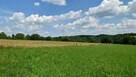 Działka BUDOWLANA, Bieszczady, Bóbrka, k. SOLINA - 64 ary - 5