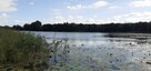 Działka rekreacyjna 624m2, nad jeziorem, prąd, woda, Chodecz - 16