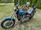 Harley-Davidson FXD Dyna Super Glide 2001 | Gaźnik - 8