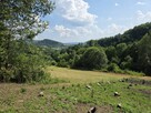Działka BUDOWLANA – 28 arów, Bieszczady, Bóbrka, k. SOLINA - 7