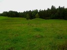 Działka o powierzchni 0,5442 ha - Wólka, gm. Filipów - 1