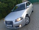 ŁADNA/AUDI/A3/2.0/TDI/5-DRZWI/SPRAWNA/ZAREJESTR/