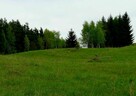 Działka o powierzchni 0,5442 ha - Wólka, gm. Filipów - 2