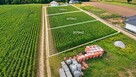 Działka budowlana Izabelin gm. Kramsk