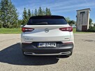 Opel Grandland X Design Line 1.6 Turbo PHEV 225 KM AT8 FWD - 6