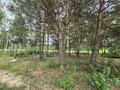 Działka budowlana Kąck gm. Wiązowna - 6