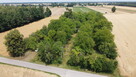 Działka 1,13 ha (starodrzew) 1,5 godz. od Warszawy - 1