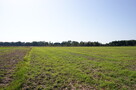 Działka budowlana 18ar obok jezioro Krasne - 4