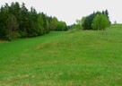 Działka o powierzchni 0,5442 ha - Wólka, gm. Filipów - 3
