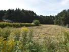 Sprzedaż domu z 3 dziakłami 33ar,Szczedrzyk,Opole. - 7