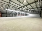 HALA MAGAZYN od 1300 do 2600 m2 NIEPOŁOMICE - 3