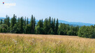 Twój kawałek natury z widokiem na Tatry - 4