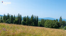 Twój kawałek natury z widokiem na Tatry - 7
