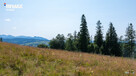 Twój kawałek natury z widokiem na Tatry - 13