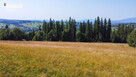 Twój kawałek natury z widokiem na Tatry - 16
