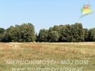 Działka rolno-budowlana Aleksandria gm. Puszcza Mariańska - 1