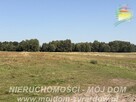 Działka rolno-budowlana Aleksandria gm. Puszcza Mariańska - 2