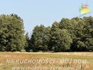 Działka rolno-budowlana Aleksandria gm. Puszcza Mariańska - 3