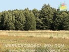 Działka rolno-budowlana Aleksandria gm. Puszcza Mariańska - 4