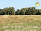 Działka rolno-budowlana Aleksandria gm. Puszcza Mariańska - 6