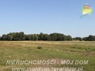 Działka rolno-budowlana Aleksandria gm. Puszcza Mariańska - 9