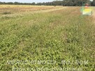 Działka rolno-budowlana Aleksandria gm. Puszcza Mariańska - 11