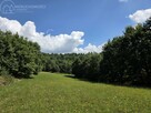 Działka rolna Moszczenica - 2