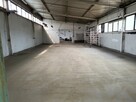 Hala 500 M2 3x170 M2 Szczecin - Mierzyn