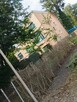 Pielęgnacja ogrodów karczowanie działek - 8
