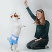 Pet Soft JEDNORAZOWE PIELUCHY DLA SUCZKI M 16-11kg 30-50cm k - 2
