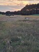 DZIAŁKA INWESTYCYJNA 2,22 HA KĘPINA - 2