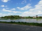 Działka o pow. 4,6 ha w Klementowicach gm. Kurów. - 5