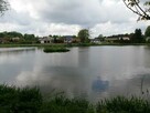 Działka o pow. 4,6 ha w Klementowicach gm. Kurów. - 8