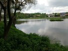 Działka o pow. 4,6 ha w Klementowicach gm. Kurów. - 9