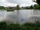 Działka o pow. 4,6 ha w Klementowicach gm. Kurów. - 10
