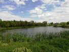 Działka o pow. 4,6 ha w Klementowicach gm. Kurów. - 11