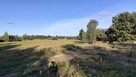 Działka z linią brzegową- kamper, przyczepa,namiot - 2