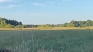 Działka z linią brzegową- kamper, przyczepa,namiot - 3