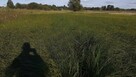Działka z linią brzegową- kamper, przyczepa,namiot - 12